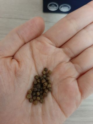 다솜님이 올린 리뷰 사진 4