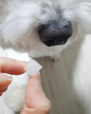 X님이 올린 리뷰 사진 3