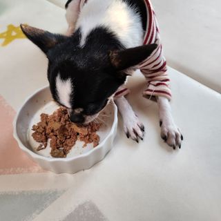 썽이mom앙꼬님이 올린 리뷰 사진 2