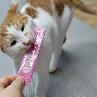 페페로니 잘 먹는 캣츄 - 알래스카 연어 24개입 — 5점을 준 리뷰어가 2021년 7월 올린 사용 사진