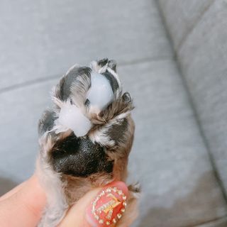 달려라김샨님이 올린 리뷰 사진 1