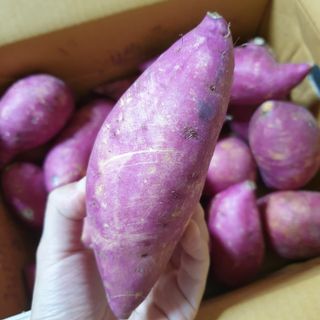 뚠꾸뚠꾸💕님이 올린 리뷰 사진 3