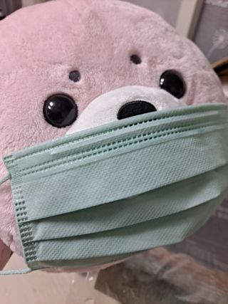 보노님이 올린 리뷰 사진 1