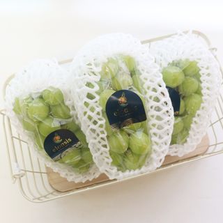 괴짜언니님이 올린 리뷰 사진 4