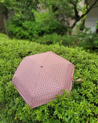 제주녀님이 올린 리뷰 사진 3