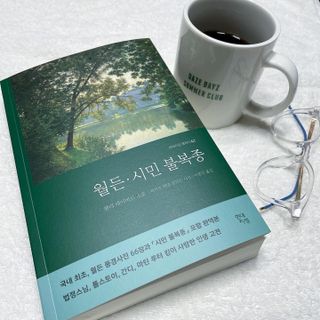 버니님이 올린 리뷰 사진 1