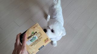 쏘이님이 올린 리뷰 사진 4