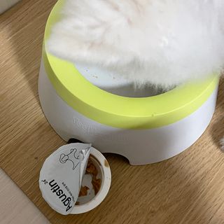 hj00님이 올린 리뷰 사진 4