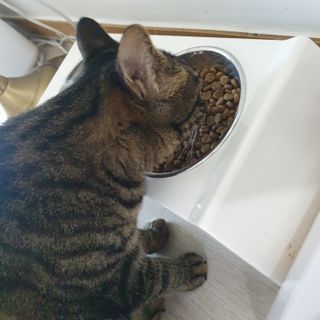 숑굥님이 올린 리뷰 사진 3