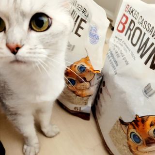 브라우니모래 [브라우니] 고양이 카사바모래 브라우니 천연 응고형 모래  6Lx2개 — 5점을 준 리뷰어가 2023년 11월 올린 사용 사진
