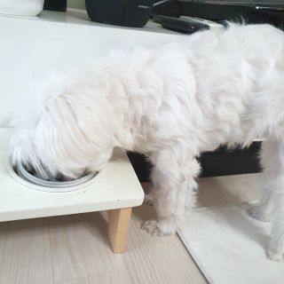 lala님이 올린 리뷰 사진 1