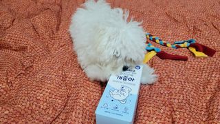 앵앵이님이 올린 리뷰 사진 2