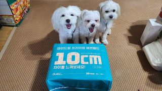 공팔리터님이 올린 리뷰 사진 2