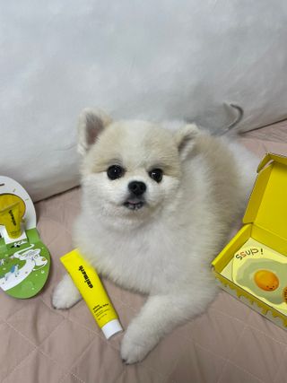 이제트님이 올린 리뷰 사진 2