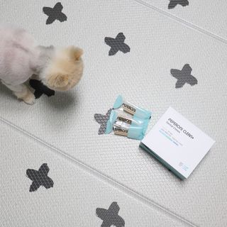 페페로니 클린플러스 덴탈치킨껌 10g x 14p — 5점을 준 리뷰어가 2021년 7월 올린 사용 사진