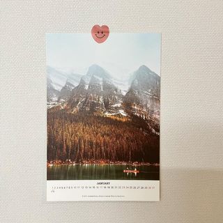 니니님이 올린 리뷰 사진 3