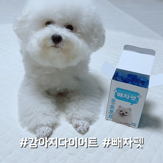 Alra님이 올린 리뷰 사진 4