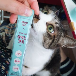 페페로니 잘 먹는 캣츄 - 원양선 참치 24개입 — 5점을 준 리뷰어가 2021년 8월 올린 사용 사진
