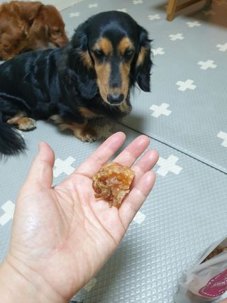 노루다래꼬봉님이 올린 리뷰 사진 4