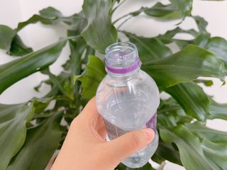 몽베스트 [MONTBEST] 330mL 20병 — 5점을 준 리뷰어가 2023년 7월 올린 사용 사진