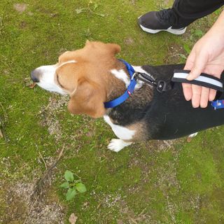 beaglelove님이 올린 리뷰 사진 3