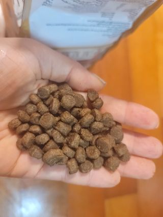 딸셋맘님이 올린 리뷰 사진 3
