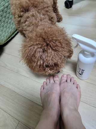 김맘님이 올린 리뷰 사진 3
