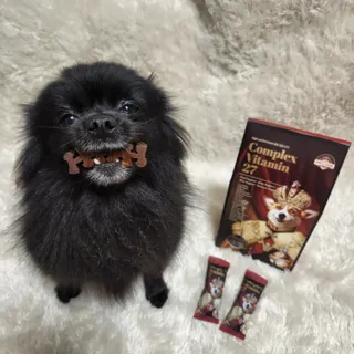 작은곰님이 올린 리뷰 사진 2