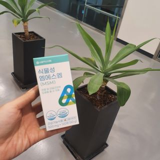 도연님이 올린 리뷰 사진 3
