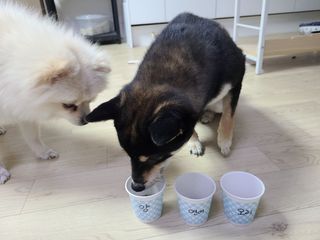 민댕이님이 올린 리뷰 사진 3