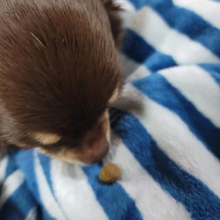 란다김님이 올린 리뷰 사진 3