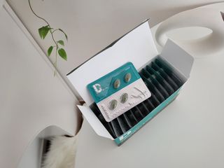 큰꿈님이 올린 리뷰 사진 2