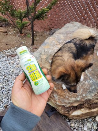 오둥이맘님이 올린 리뷰 사진 1