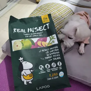 [푸디웜] 라포그  리얼인섹트 웨이트밸런스 저알러지 강아지 사료  1.2KG — 5점을 준 리뷰어가 2022년 6월 올린 사용 사진