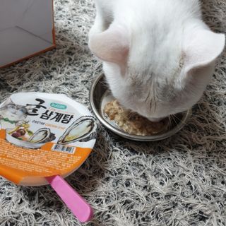 행복맘님이 올린 리뷰 사진 4