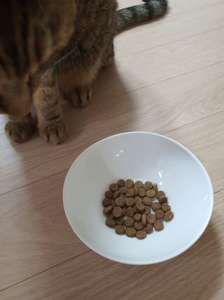 네롱이님이 올린 리뷰 사진 2