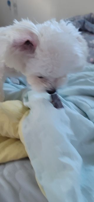 최홍규님이 올린 리뷰 사진 1