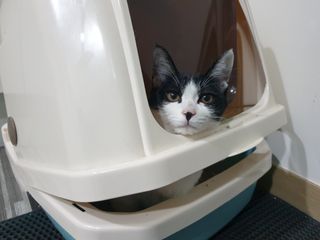 소울베어님이 올린 리뷰 사진 3