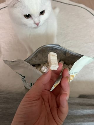 [펫시밀] 원물그대로 영양듬뿍 동결건조 왕북어트릿300g,왕치킨트릿400g,열빙어트릿300g 대용량 간식 — 5점을 준 리뷰어가 2023년 5월 올린 사용 사진