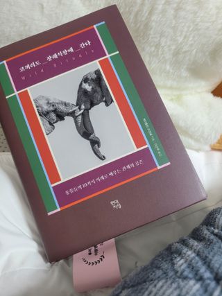 풀피리님이 올린 리뷰 사진 2