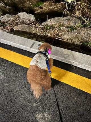 문달콩누나님이 올린 리뷰 사진 2