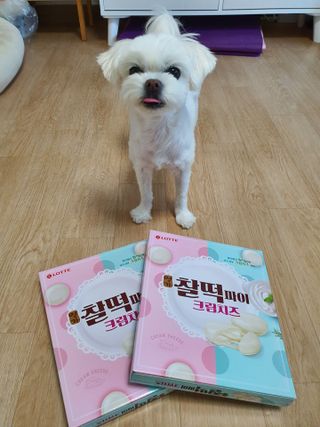 뽀오오옹님이 올린 리뷰 사진 1