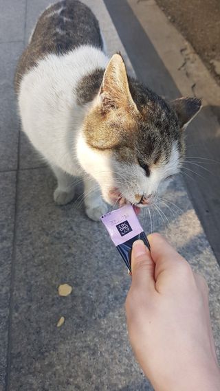 응디니님이 올린 리뷰 사진 2