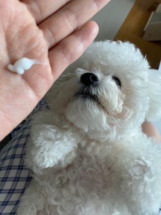 순애님이 올린 리뷰 사진 3