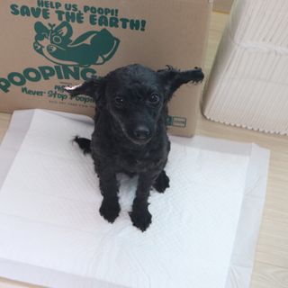 우와한언니님이 올린 리뷰 사진 4