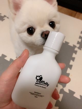 순덕아맘마먹자님이 올린 리뷰 사진 1