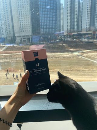 코코몰리 고양이 구강• 헤어볼 데일리 /신장• 요로 데일리 — 5점을 준 리뷰어가 2021년 3월 올린 사용 사진