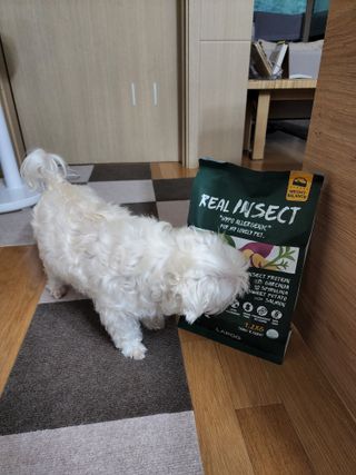 [푸디웜] 라포그  리얼인섹트 웨이트밸런스 저알러지 강아지 사료  1.2KG — 4점을 준 리뷰어가 2022년 7월 올린 사용 사진