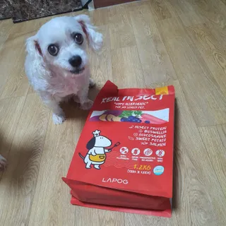 [푸디웜] 라포그  리얼인섹트 관절 저알러지 강아지 사료  1.2KG — 5점을 준 리뷰어가 2022년 8월 올린 사용 사진