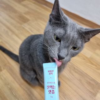 페페로니 잘 먹는 캣츄 - 원양선 참치 24개입 — 5점을 준 리뷰어가 2021년 7월 올린 사용 사진